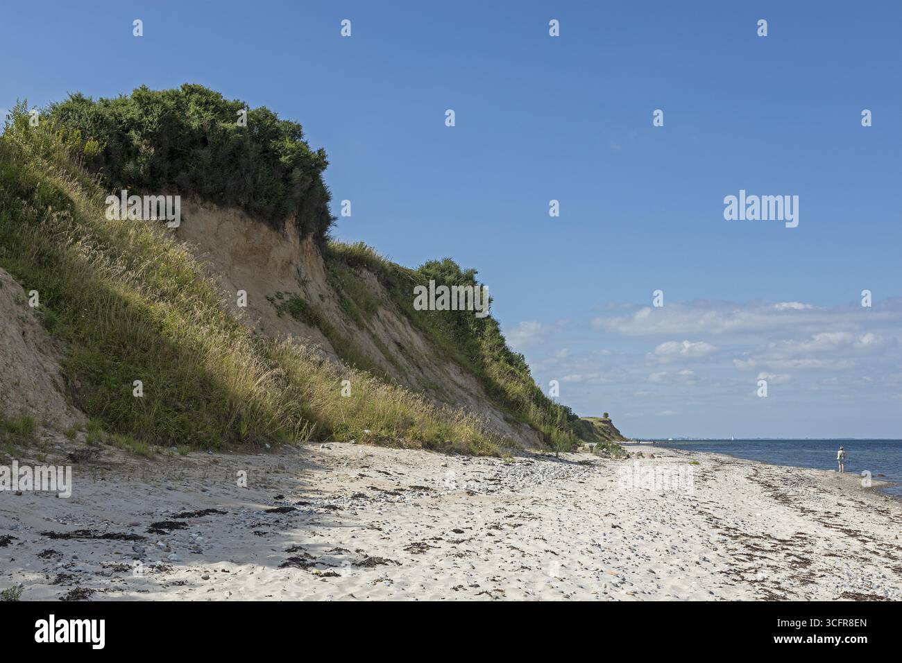 Spiaggia, scogliere di Stohl, Schwedeneck, Schleswig-Holstein, Germania Foto Stock
