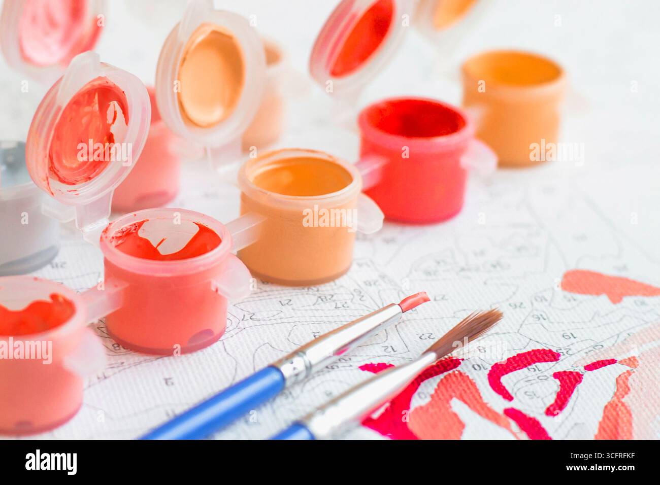 Pittura per numeri. Vernici e pennelli acrilici per la pittura e il tempo libero a casa Foto Stock