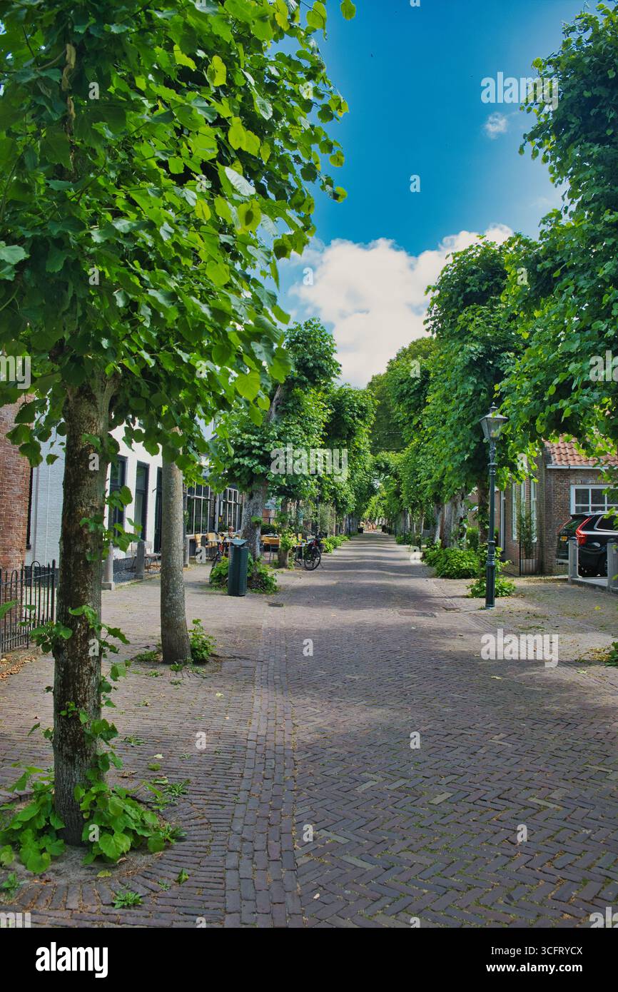 Via principale fiancheggiata da alberi di tiglio in una tipica vecchia città olandese. Langweer, provincia della Frisia, Paesi Bassi Foto Stock