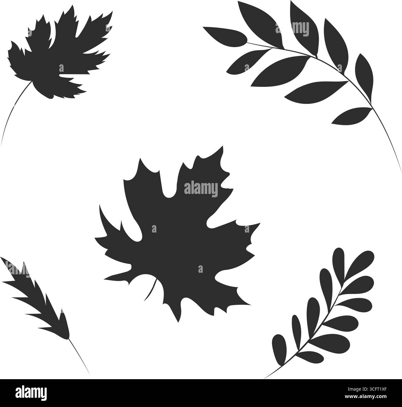 Illustrazione vettoriale di foglie e rami autunnali neri su sfondo bianco. Ombra, contorno. Disegnato a mano. Monocromatico Illustrazione Vettoriale