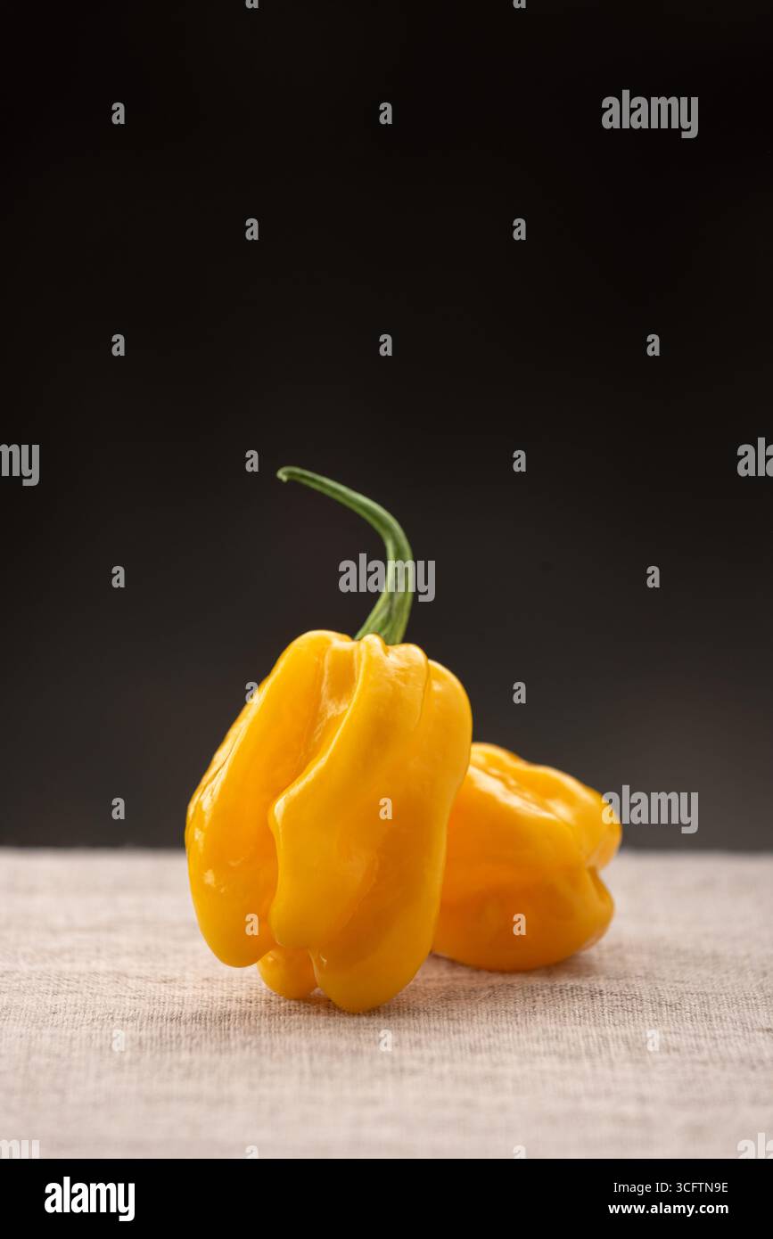 Peperoncino Habanero giallo su tovaglia di lino su sfondo nero con spazio copia Foto Stock