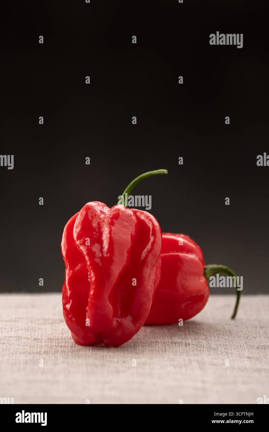 Peperoncino Habanero rosso su tovaglia di lino su sfondo nero con spazio copia Foto Stock