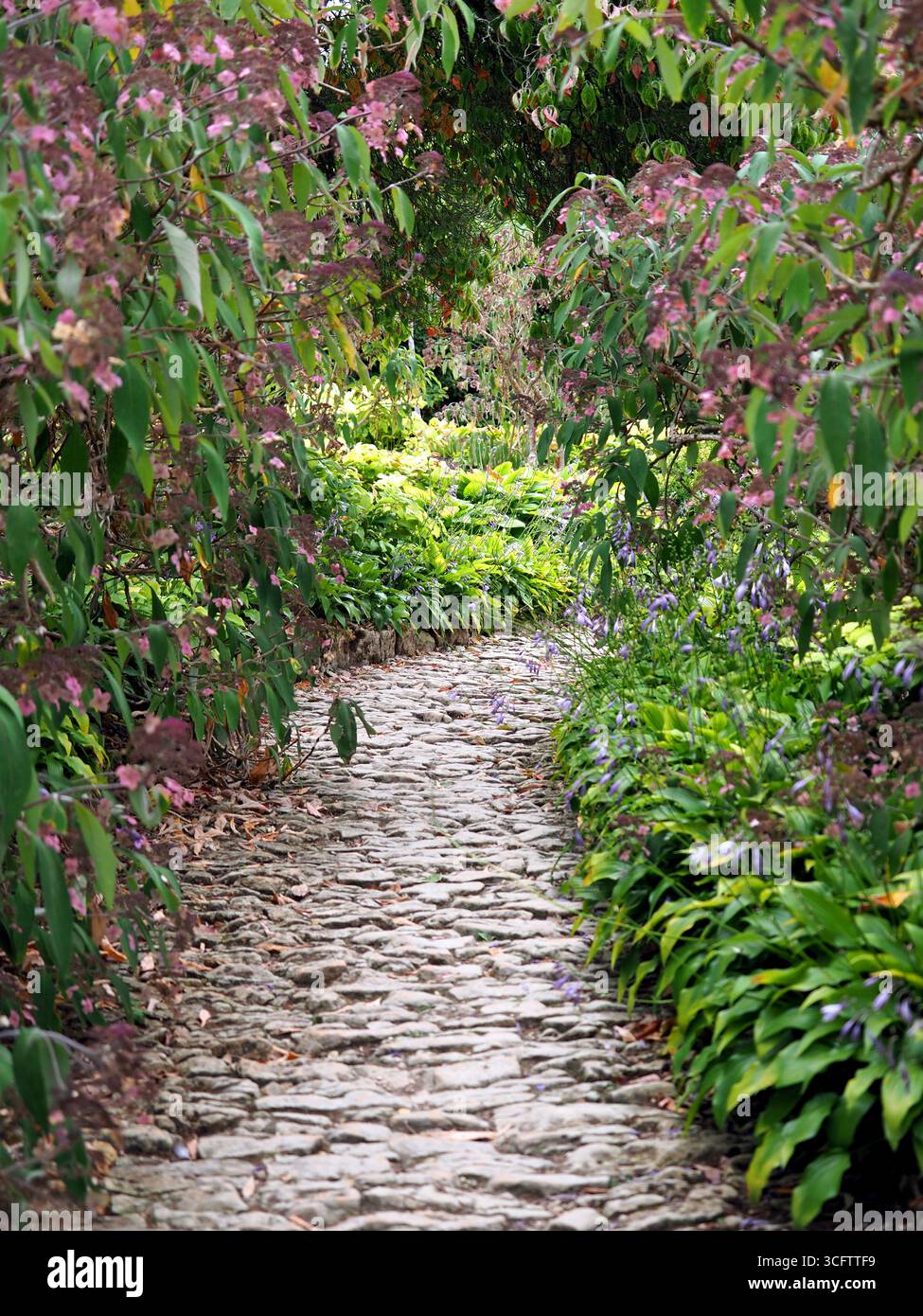 Cottage inglese giardino bordo fiore e sentiero ciottoli Foto Stock