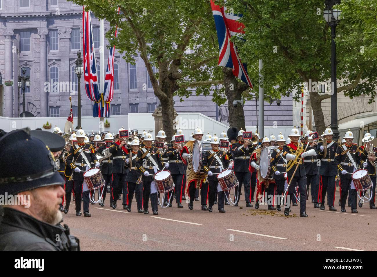 Lunedì 5 maggio 2025 migliaia di persone si sono riunite per celebrare il 80° anniversario della fine della seconda guerra mondiale in Europa. Una parata commemorativa viaggiò dal Parlamento, lungo Whitehall, e lungo il Mall fino a Buckingham Palace. Foto Stock