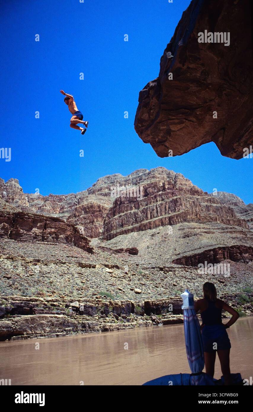 Un solo adulto salta da un'alta scogliera nel fiume Colorado. Parco nazionale del Grand Canyon, Arizona Foto Stock