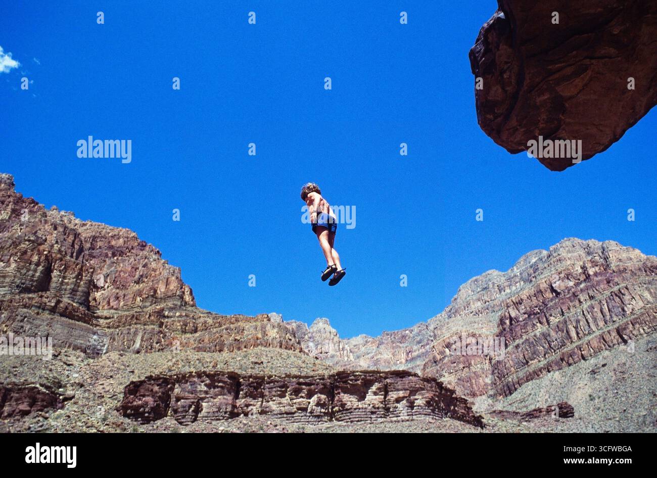 Un solo adulto salta da un'alta scogliera nel fiume Colorado. Parco nazionale del Grand Canyon, Arizona Foto Stock