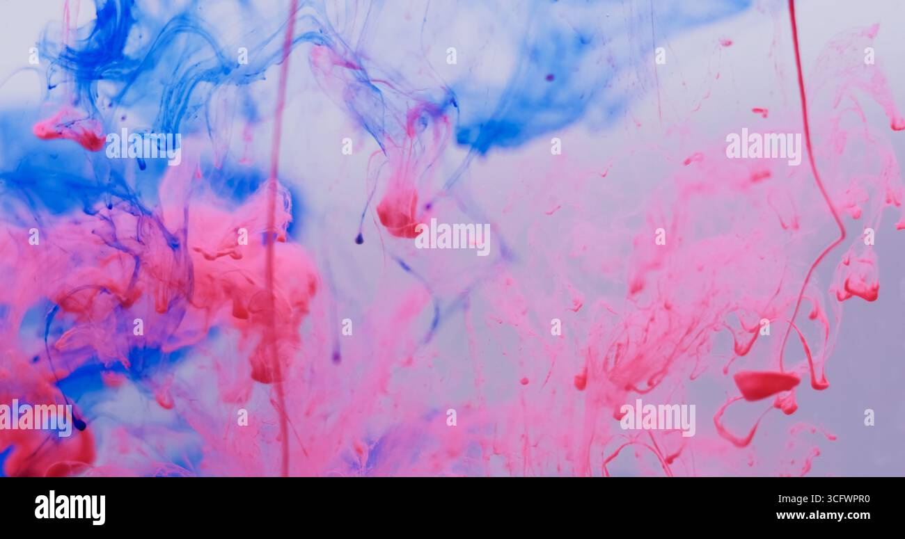 Acqua di fumo. Vernice nebulizzata. Inchiostro blu rosa rosso che gocciola nel liquido. Foschia colorante Art blob dissolvendo esplosione di colore sfocata sfondo bianco. Foto Stock