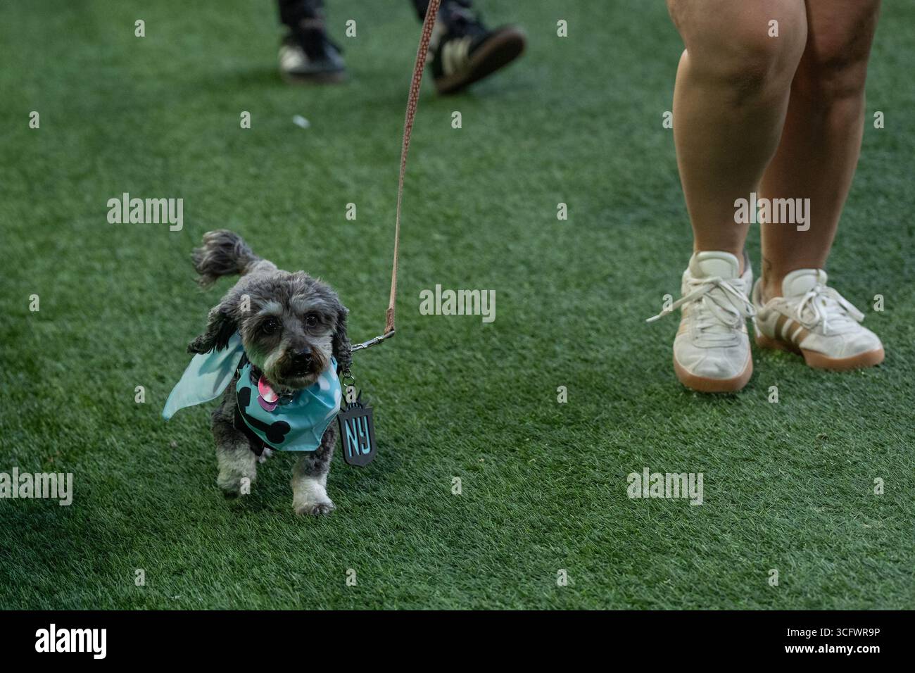 I tifosi con cani partecipano alla partita della NWSL di stagione regolare tra Gotham FC e Utah Royals allo Sports Illustrated Stadium di Harrison, New Jersey, il 23 agosto 2025. La partita si è conclusa con pareggio senza reti. La partita è stata pubblicizzata come "Dog Days of Summer" e i tifosi sono stati invitati allo stadio con i loro cani. Prima della partita i tifosi con i cani hanno sfilato intorno al campo. Foto Stock