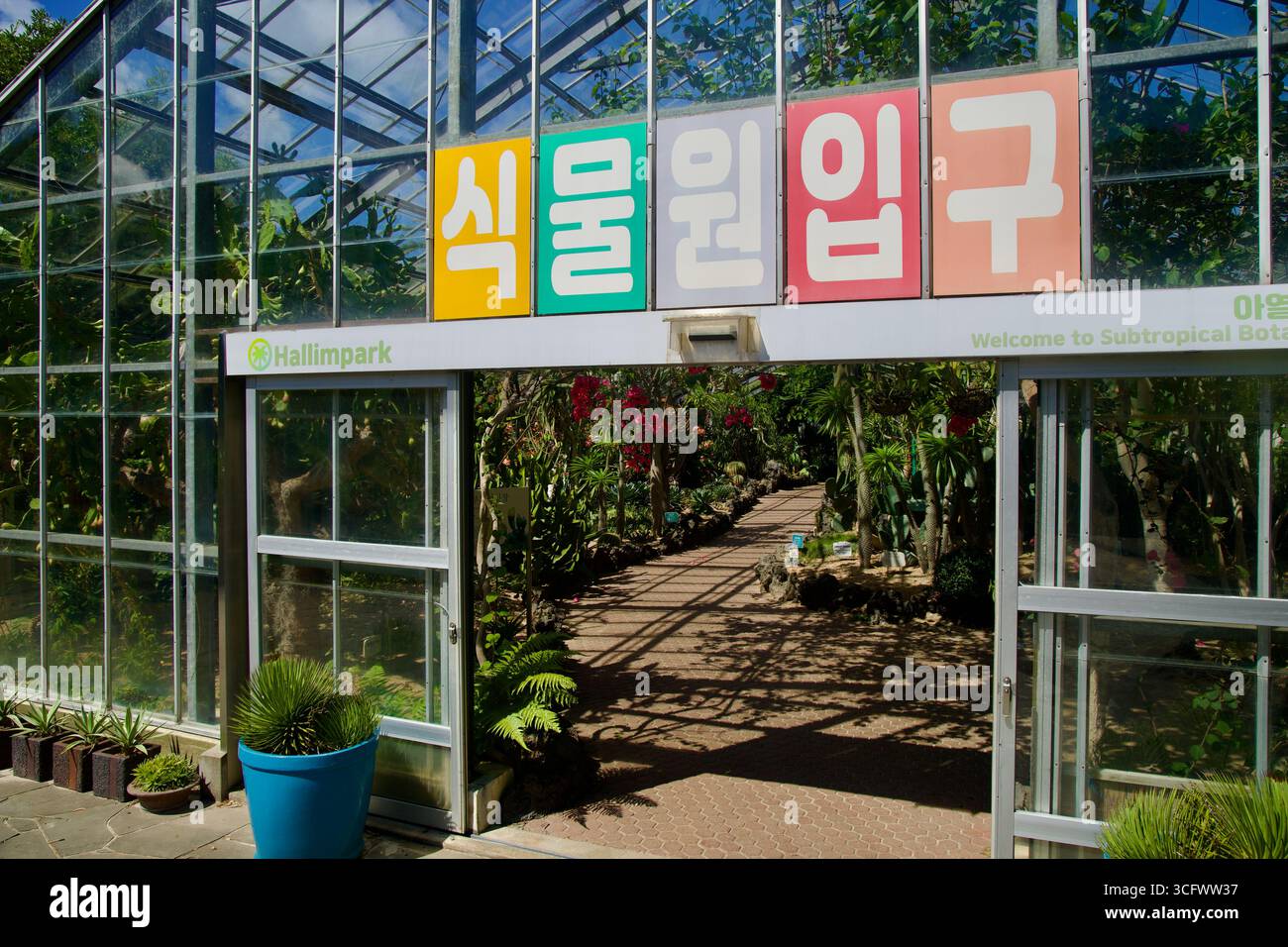Le porte scorrevoli si aprono sulla serra subtropicale del giardino botanico di Hallim Park, dove i visitatori entrano sotto le colorate scritte coreane e il vetro fra Foto Stock
