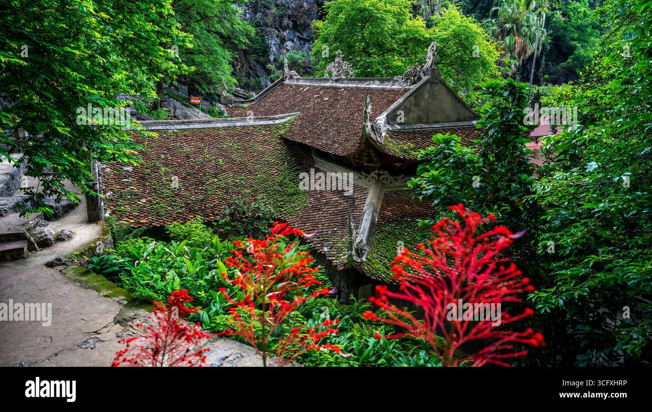 Annidata contro una scogliera calcarea, la Pagoda di Bich Dong è uno storico tempio del XV secolo costruito su tre livelli di una montagna carsica. Situato a Tam Coc Foto Stock