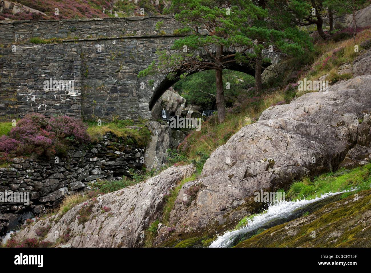 Il ponte Pont Pen-y-benglog fu costruito da Thomas Telford per abbracciare le cascate di Ogwen come parte della sua nuova strada di Londra e Holyhead ora A5. Foto Stock