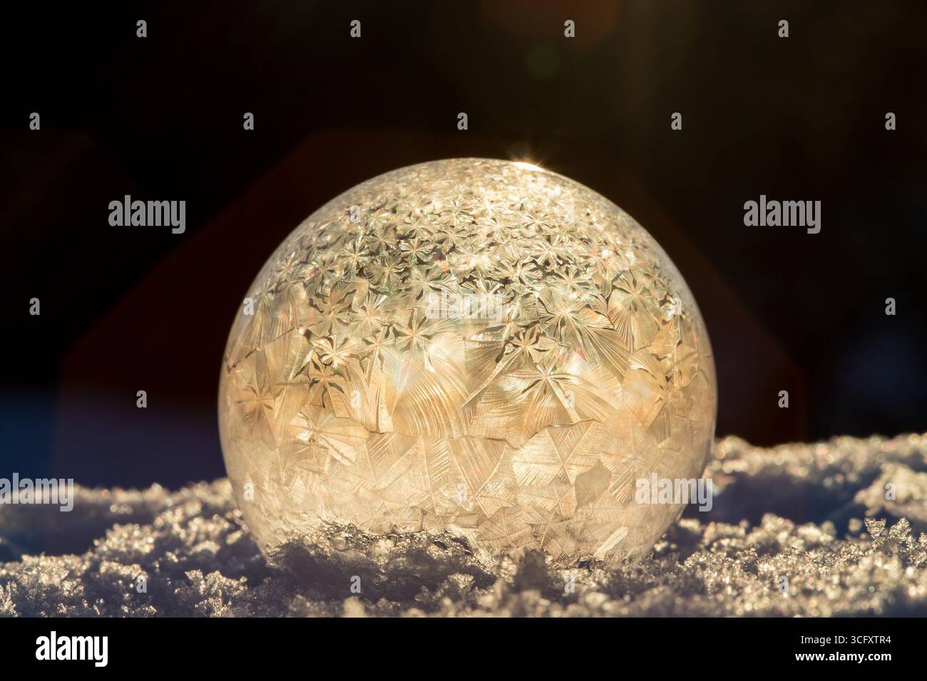 Bolla di sapone congelato sulla neve, magia invernale della bolla di sapone congelato con splendidi cristalli di ghiaccio in una sfera perfetta sulla neve con sfondo sfocato Foto Stock