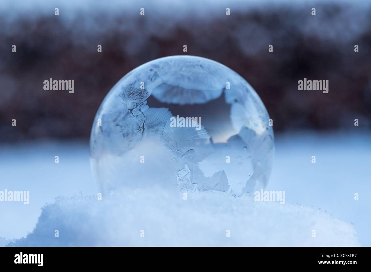 Bolla di sapone congelato sulla neve, magia invernale della bolla di sapone congelato con splendidi cristalli di ghiaccio in una sfera perfetta sulla neve con sfondo sfocato Foto Stock