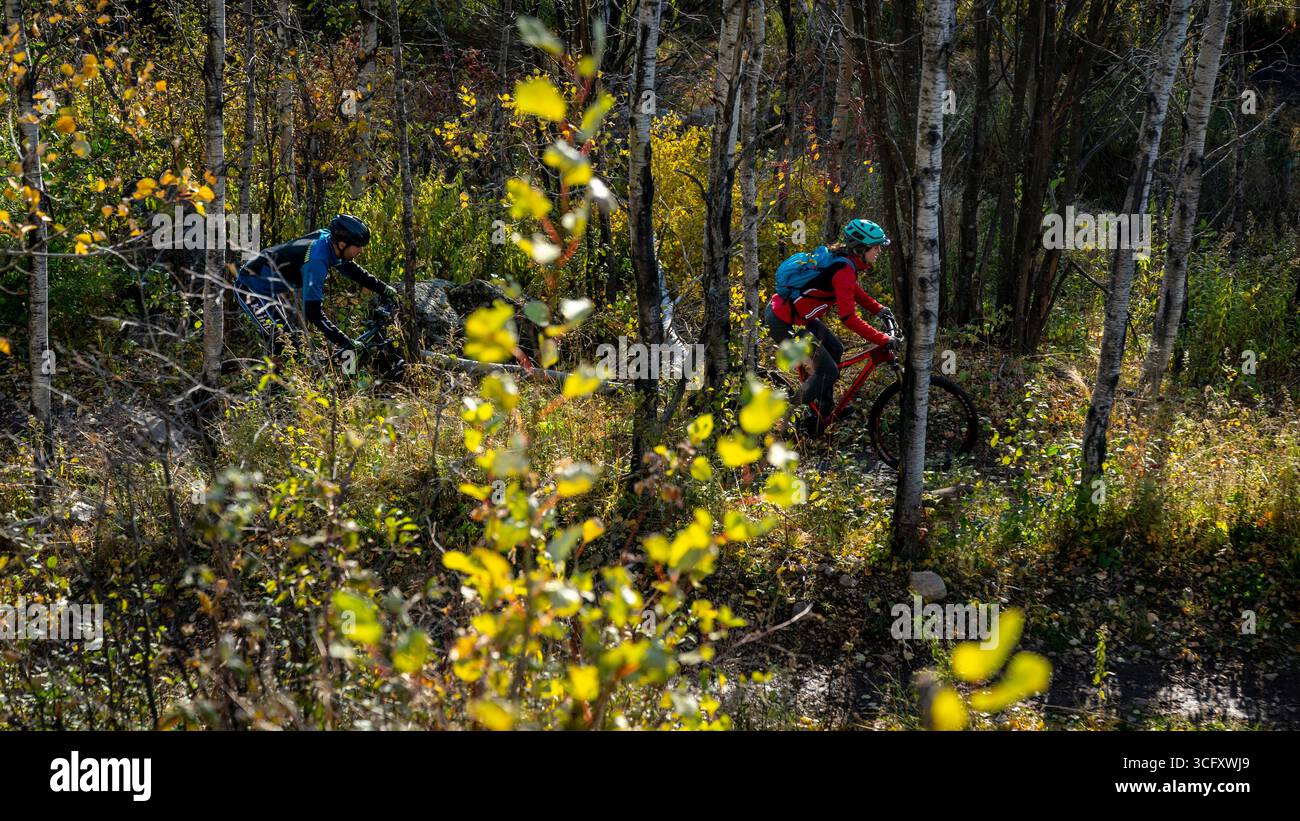 Escursioni in mountain bike nella foresta Foto Stock