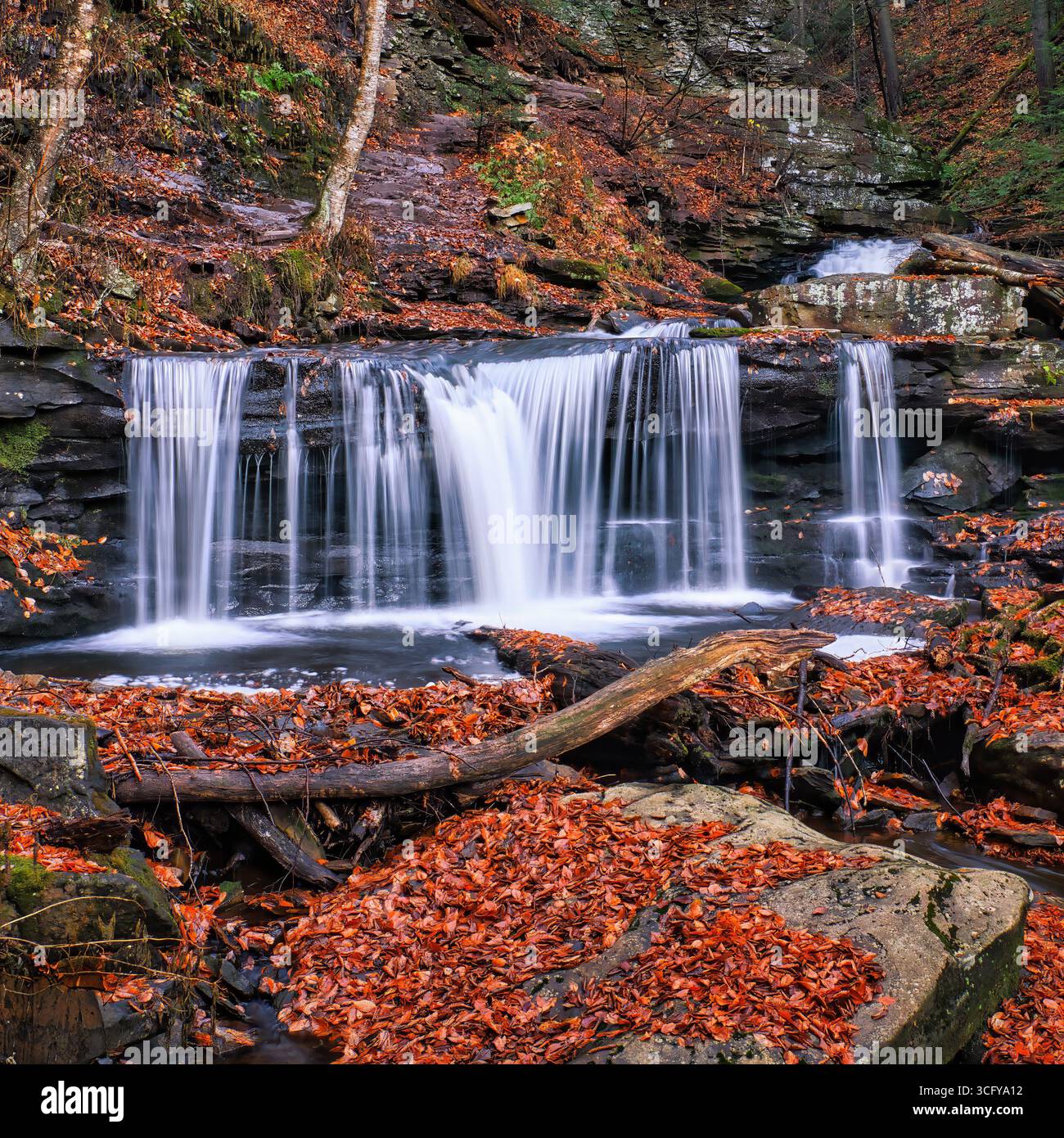 Cascate del Delaware circondate da foglie autunnali, Ricketts Glen State Park, Pennsylvania, Stati Uniti. Foto Stock