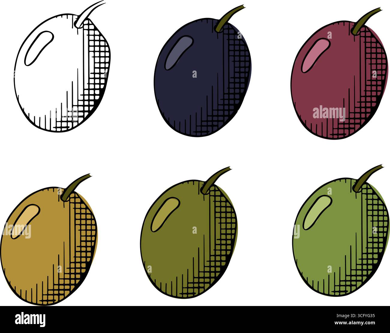 Colore singolo isolato di uva e frutti di oliva. Illustrazione dell'inchiostro con linee grafiche vettoriali. Da utilizzare per pacchetti cosmetici, negozi, negozi, prodotti, salone di bellezza, programma benessere Illustrazione Vettoriale