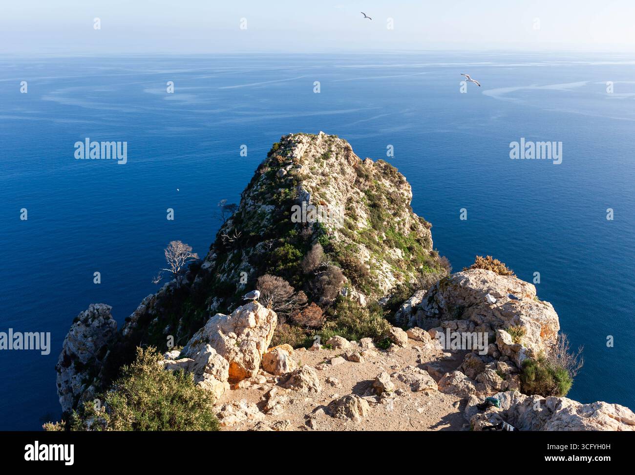Parco naturale Penyal d'IFAC vicino alla città di Calpe, Spagna. Vista della scogliera del Mirador de Carabiners durante l'escursione nel parco. Mare blu del Mediterraneo e gabbiani. Foto Stock