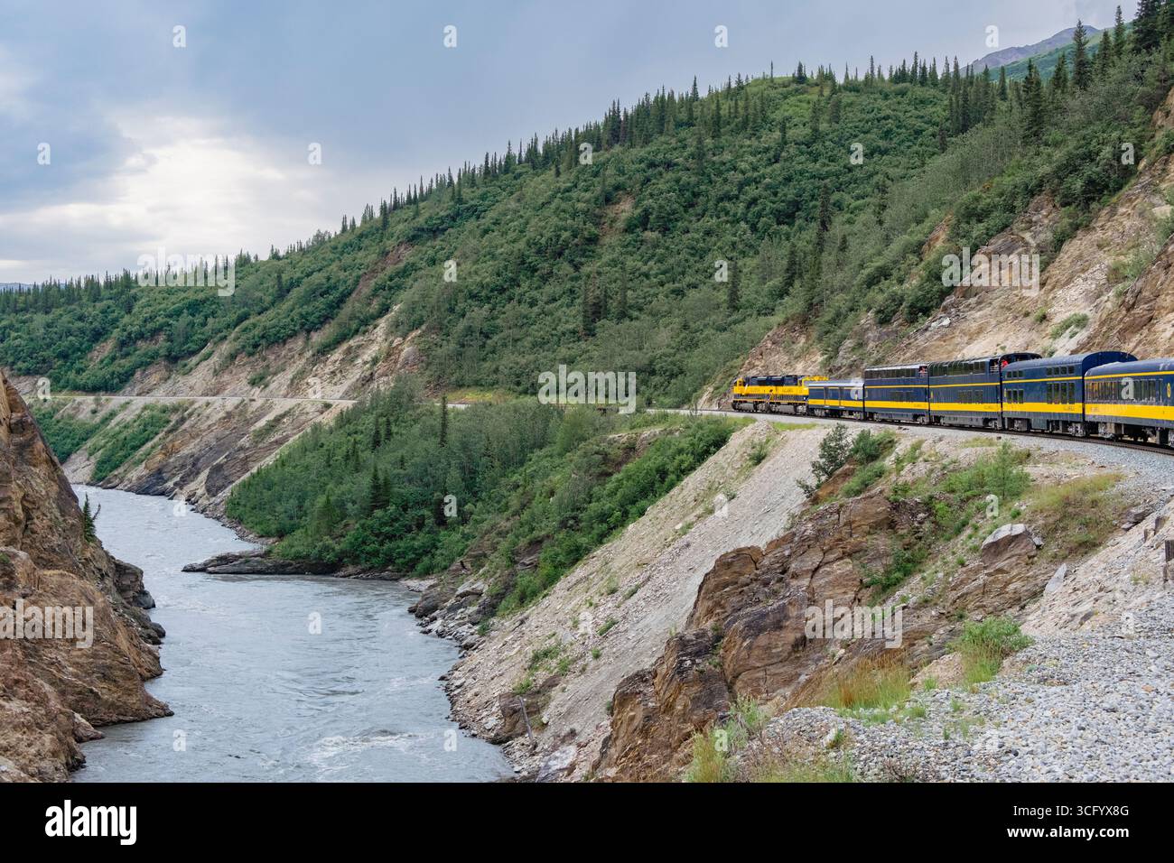 Treno Denali Star Wilderness Express che viaggia sulla linea ferroviaria da Fairbanks a Denali passando attraverso la gola del fiume Nenana in estate. Alaska, Stati Uniti Foto Stock