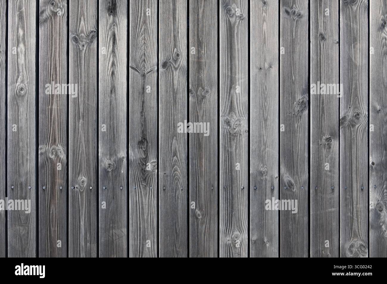 Fondo e trama in legno di colore grigio cenere. Foto Stock