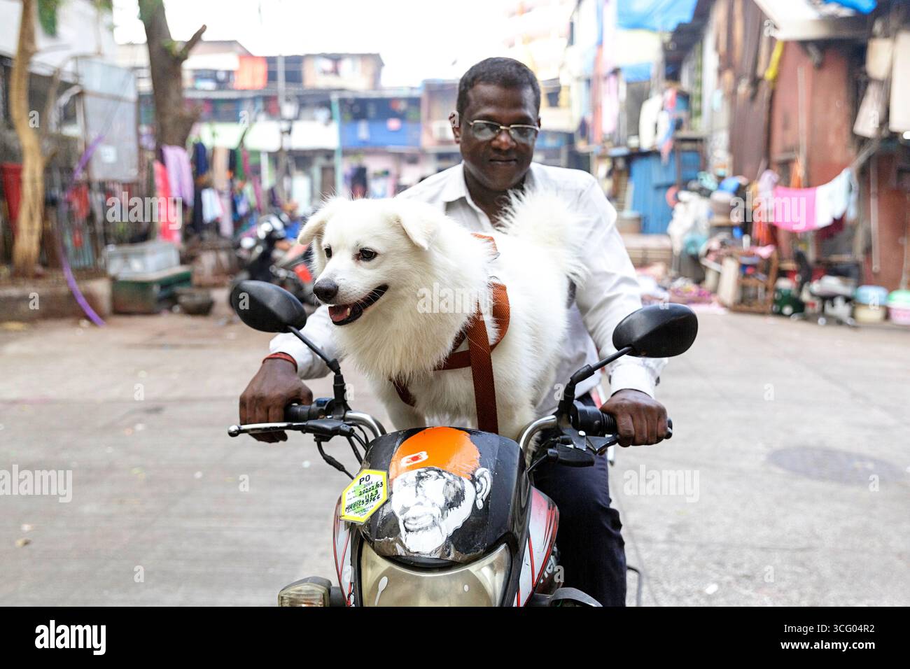 Bellissimo cane bianco su una moto con il suo proprietario a mumbai, in india Foto Stock