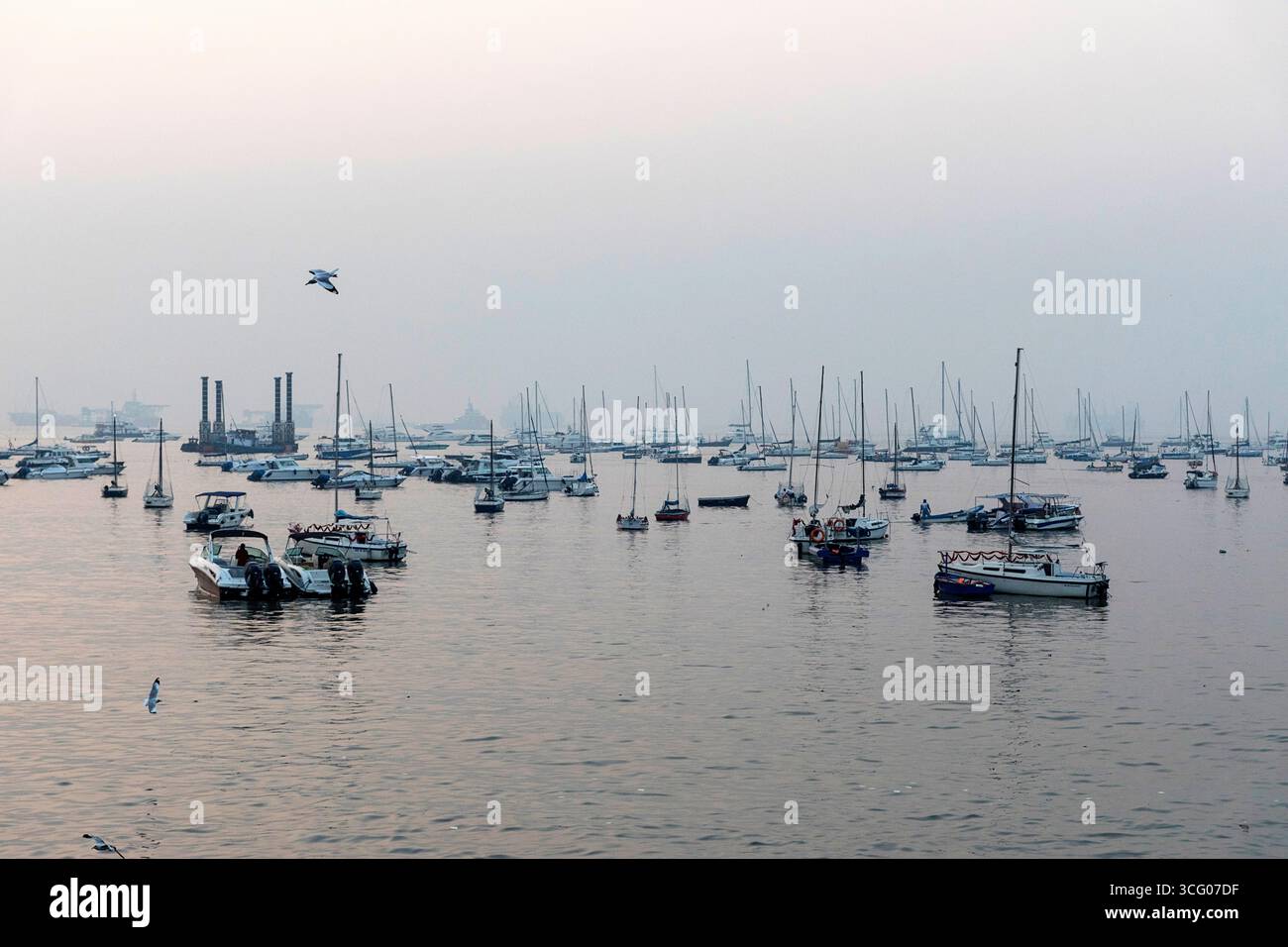 Porto di Mumbai, porticciolo in nebbia mattutina, mumbai, india, barche a vela e barche da pesca ancorate in un porto Foto Stock