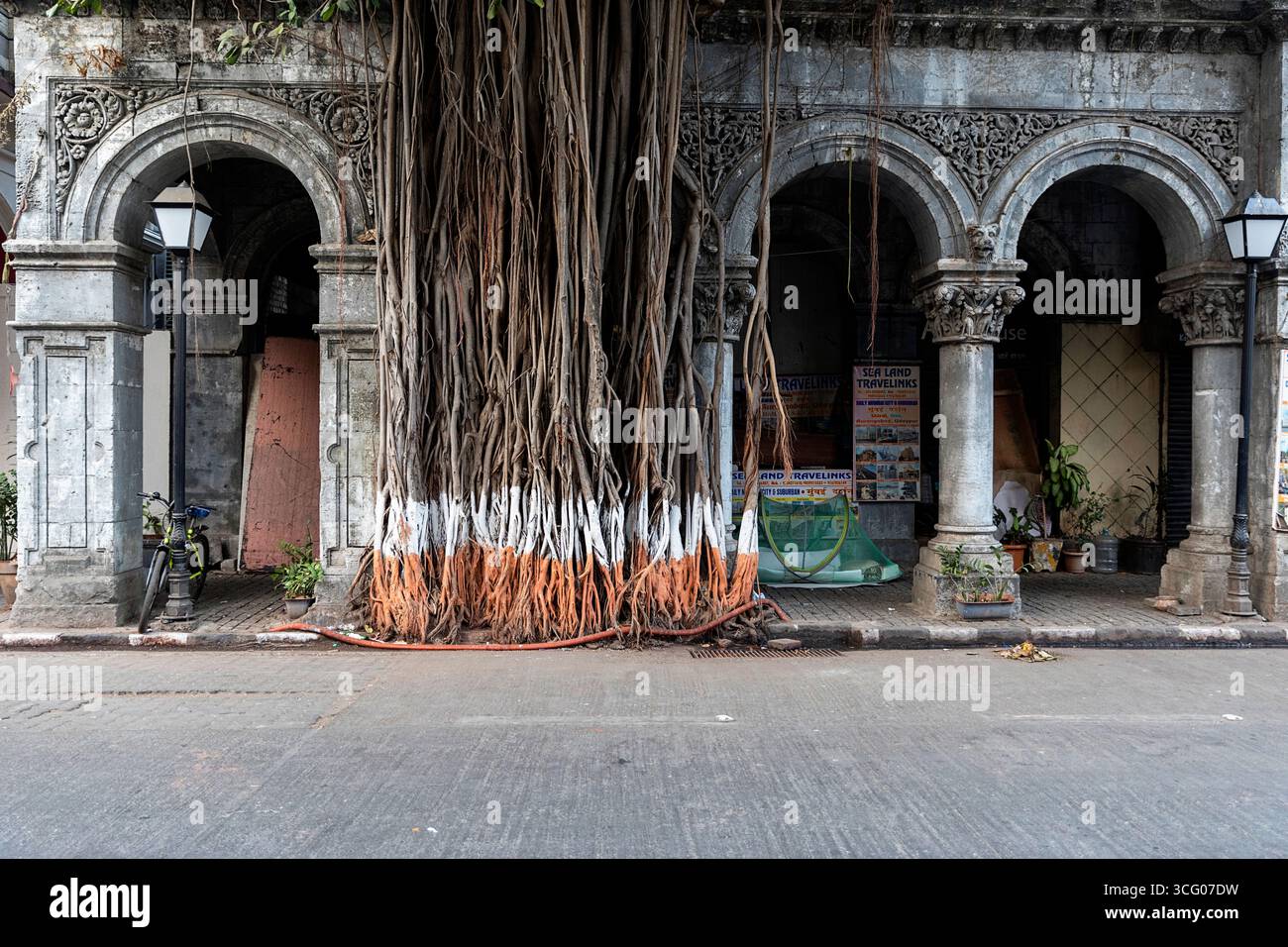 Architettura coloniale in un centro cittadino di mumba in india, alberi tropicali sopra archi coloniali della casa coloniale Foto Stock