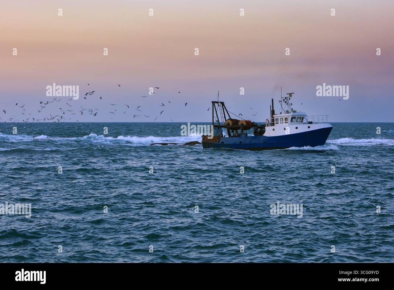 Peschereccio che naviga al tramonto al largo della costa di Jaffa, Israele, con gabbiani che volano sopra le onde del Mar Mediterraneo. Foto Stock