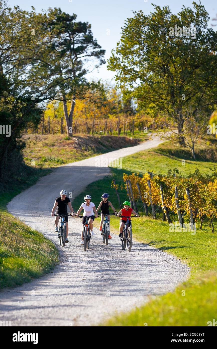 Quattro ciclisti, adulti e bambini, percorrono una strada ghiaiosa attraverso i vigneti della panoramica Valle di Vipava, in Slovenia, in una giornata di sole autunno. Foto Stock
