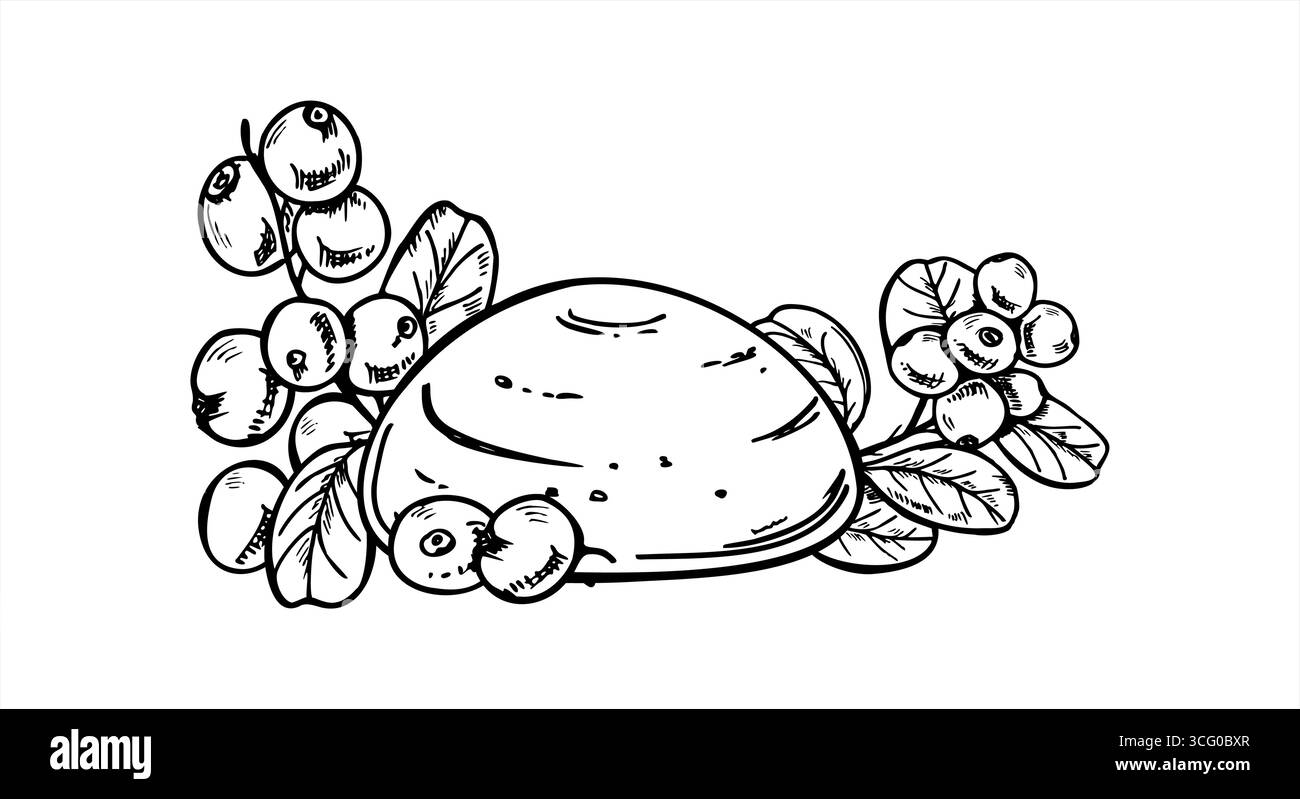 Illustrazione vettoriale in bianco e nero con ramo intero mochi e cowberry. Disegno di Berry daifuku o wagashi con caramelle. Illustrazione Vettoriale