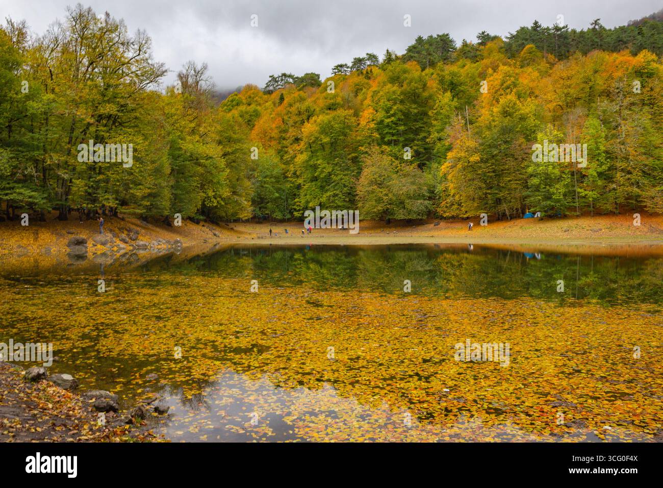 Foresta e lago in autunno nel parco nazionale di yedigöller Foto Stock