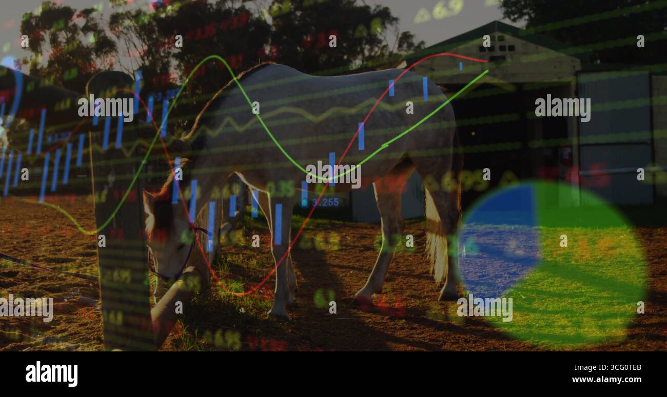 Cavallo che pascolano sullo sporco del ranch vicino al fienile, con palo di ancoraggio, candelabri e dati Foto Stock