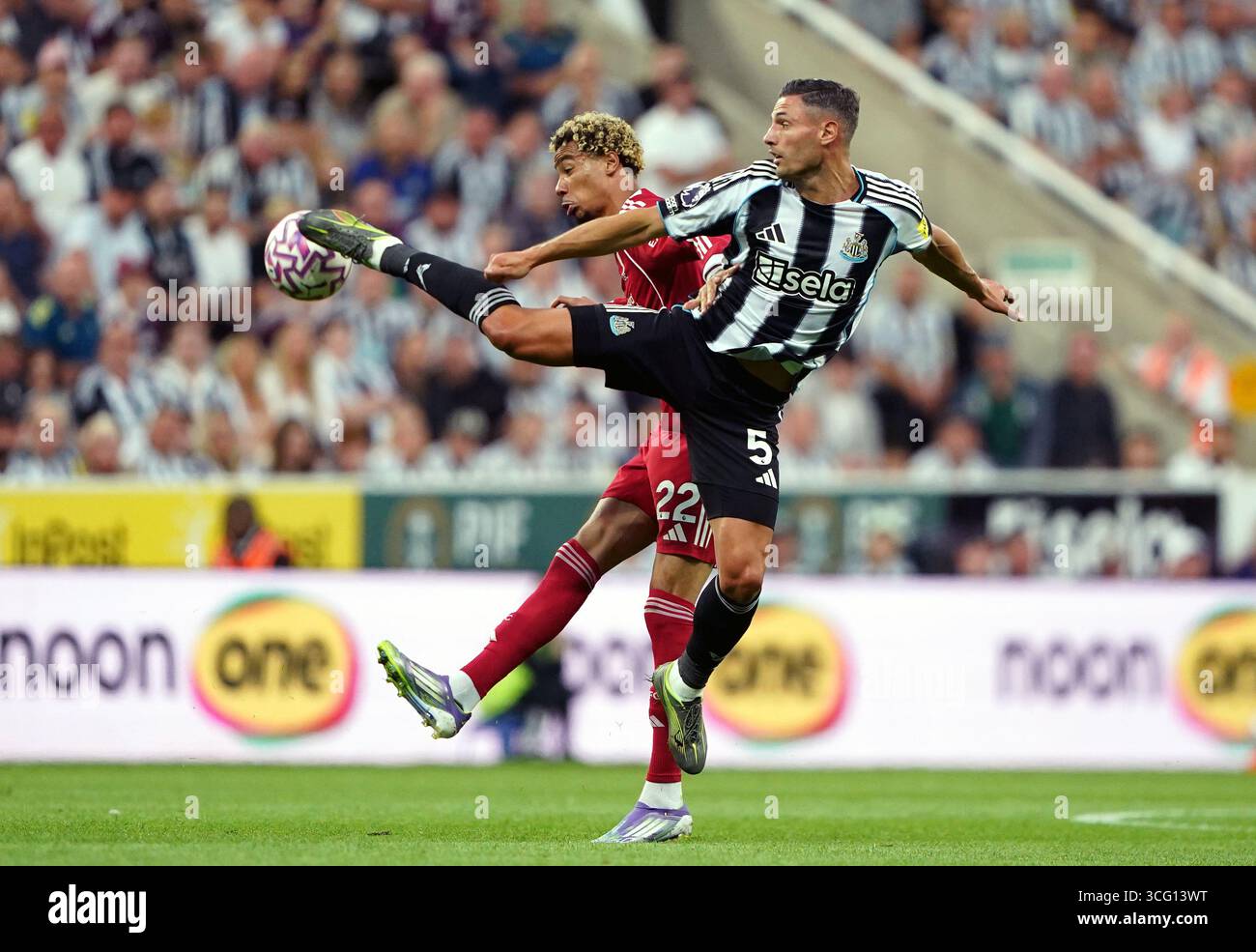 Hugo Ekitike (a sinistra) del Liverpool e Fabian Schar del Newcastle United combattono per il pallone durante la partita di Premier League a St James' Park, Newcastle. Data foto: Lunedì 25 agosto 2025. Foto Stock