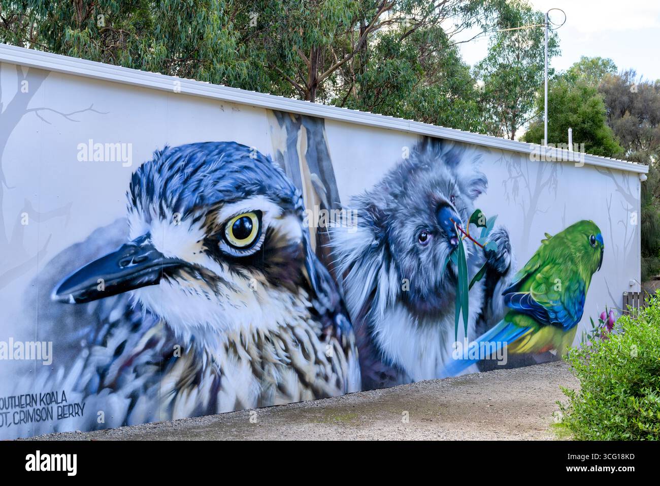 Colorato murale di fauna selvatica fuori dall'entrata della riserva protetta dei Koala Escape, sulla Phillips Island, Australia. Foto Stock