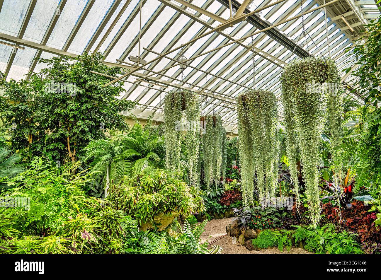 All'interno del Conservatory Building dei Fitzroy Gardens di Melbourne, Australia. Foto Stock