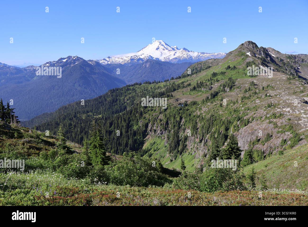 Vista del monte Baker dal sentiero Tomyhoi Peak Trail a North Cascades, Washington Foto Stock