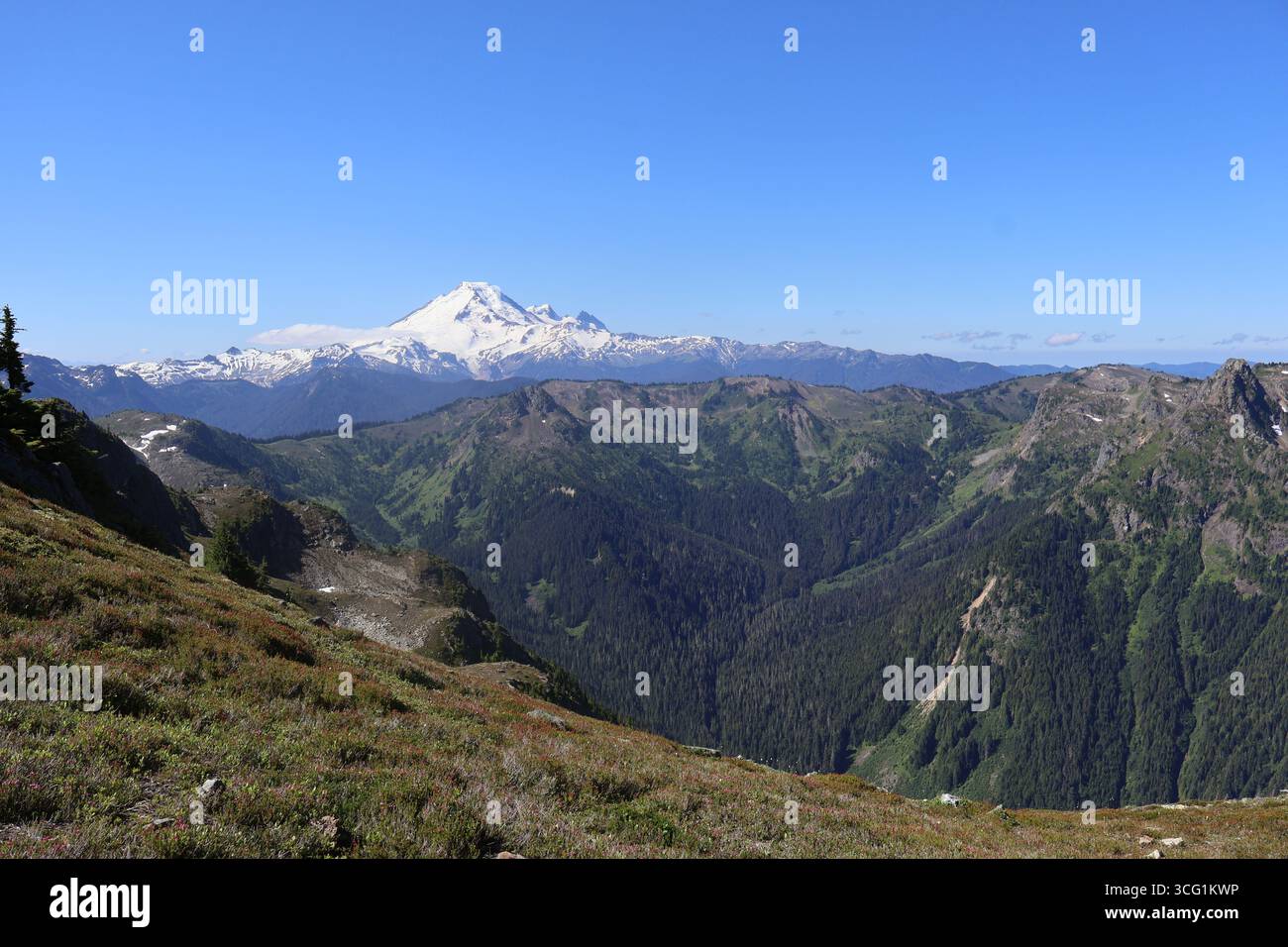Vista del monte Baker dal sentiero Tomyhoi Peak Trail a North Cascades, Washington Foto Stock