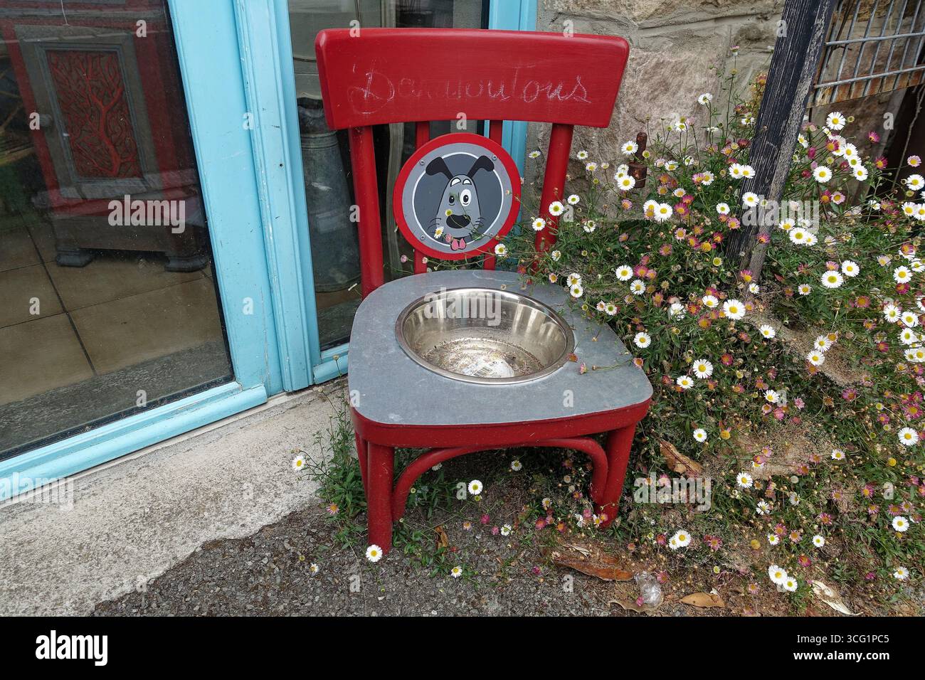 Sedia segata con ciotola per cani di fronte a un negozio, Francia, Bretagna Foto Stock