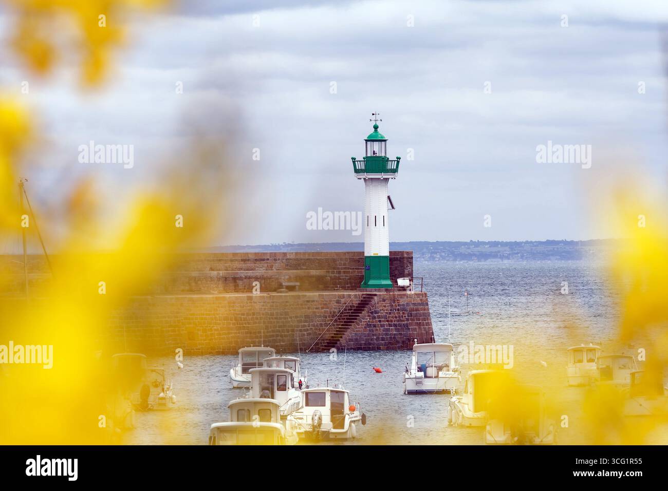Vista dalla scopa fiorita fino al faro, alla Francia, alla Bretagna, a Saint-Quay-Portrieux Foto Stock