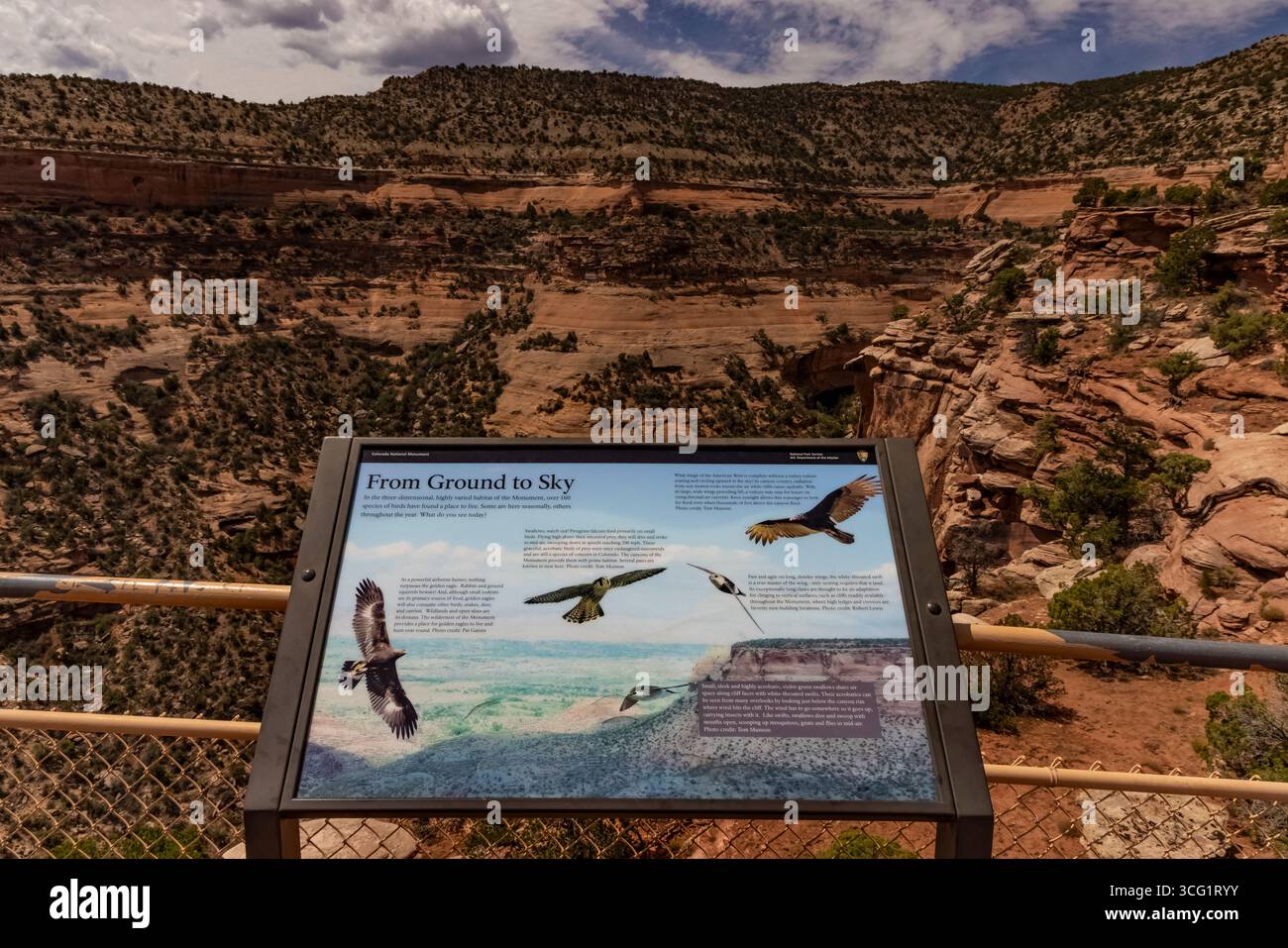 Insegna interpretativa Birds al Grand View nel Colorado National Monument, Colorado, USA [Nessuna versione; solo licenza editoriale] Foto Stock