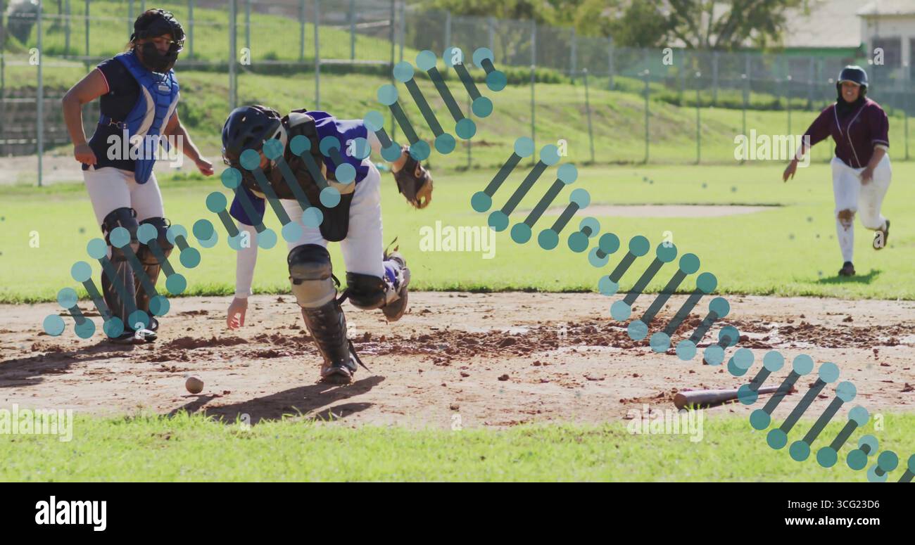 Piegare il ricevitore indossando l'attrezzatura per raccogliere il softball sciolto sullo sporco in campo, con il guanto del ricevitore Foto Stock