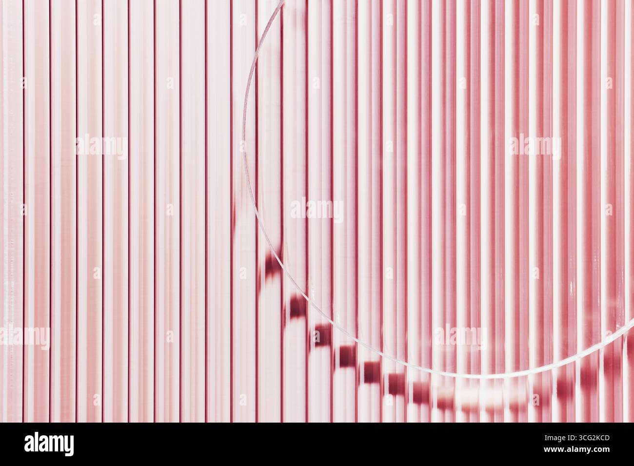 Svuotare la piastra Petri su vetro a strisce rosa. Mockup per campione di prodotto cosmetico. Foto Stock