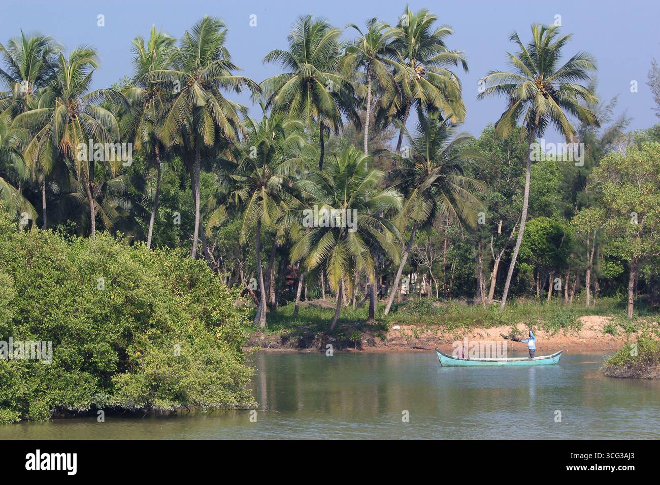 Barca da pesca sulla splendida laguna tropicale (Goa, India) Foto Stock