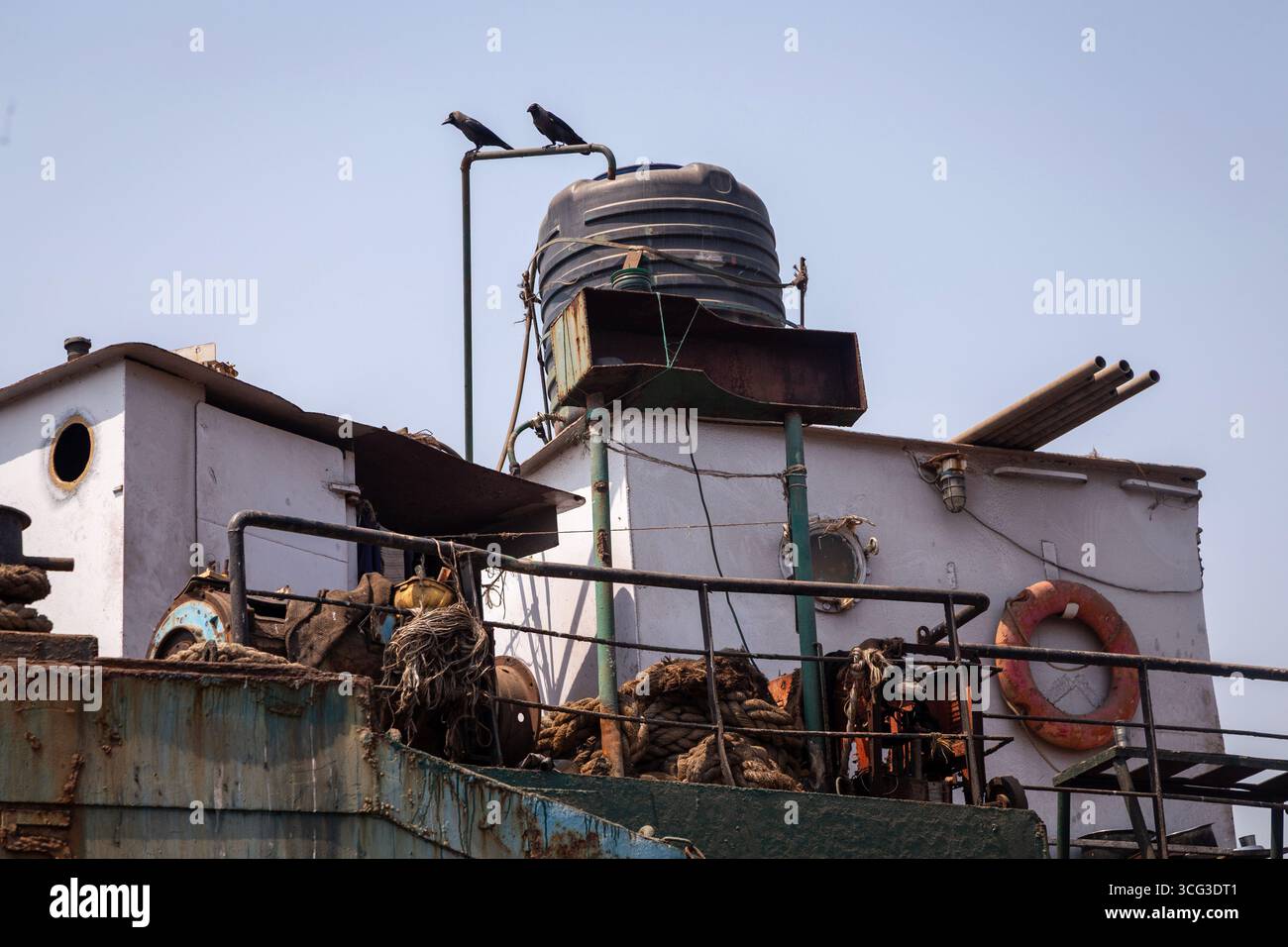 Questa immagine mostra un primo piano del ponte di una nave con corde, un salvagente, una cisterna d'acqua e due uccelli appollaiati sulle tubature Foto Stock