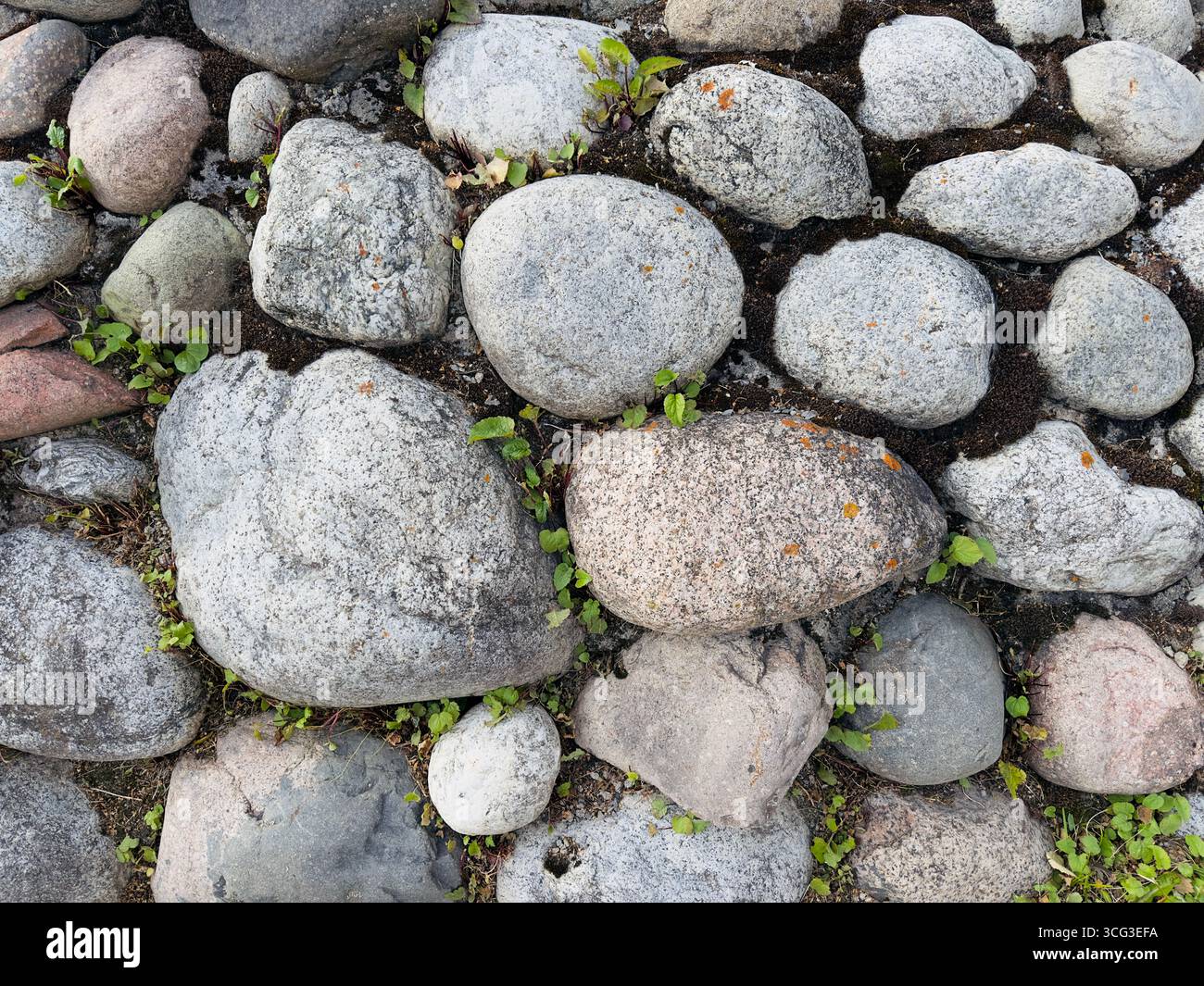 Superficie composta da varie pietre lisce e arrotondate. Foto Stock