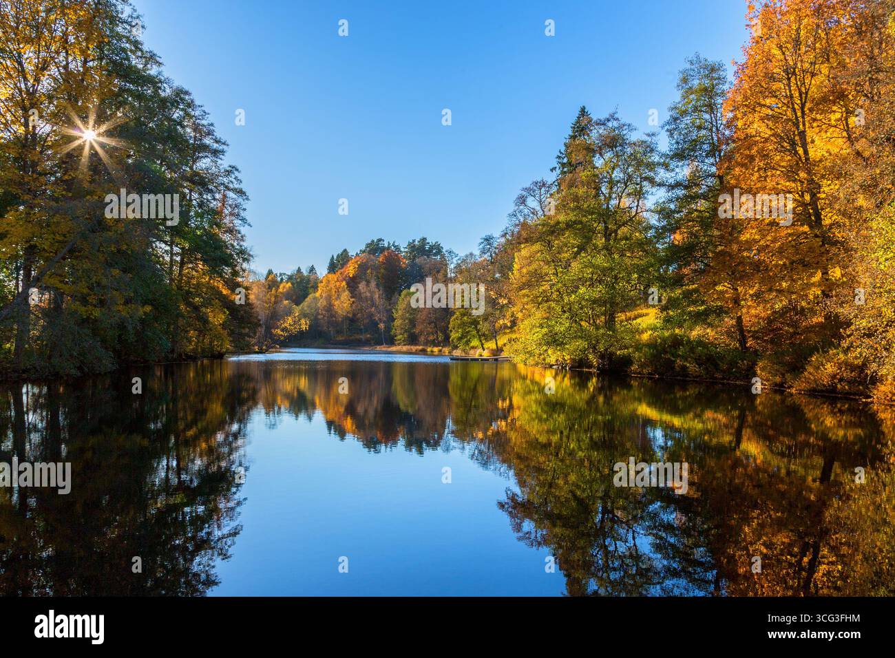 Fiume con il sole nei colori autunnali Foto Stock