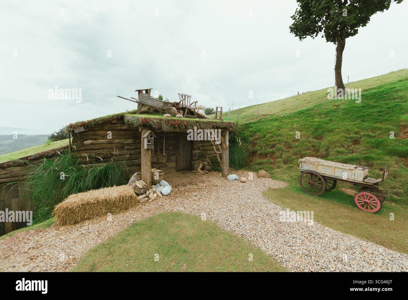 Akha Farmville, l'unico allevamento di pecore di Doi Chang, Chiang Rai, si trova in cima alla montagna Foto Stock