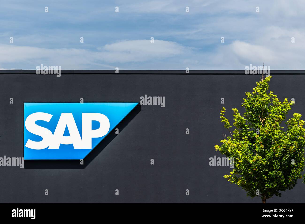 Walldorf, BW, Germania, 01.06.2025: Logo SAP se aziendale, colosso tecnologico globale nella trasformazione digitale, sviluppo software, motore digitale innovativo Foto Stock