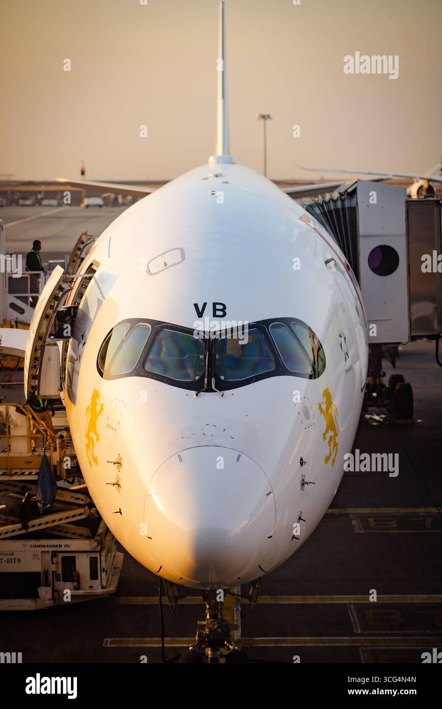 Boing etiope 787 all'aeroporto internazionale Addis Abeba Bole Foto Stock