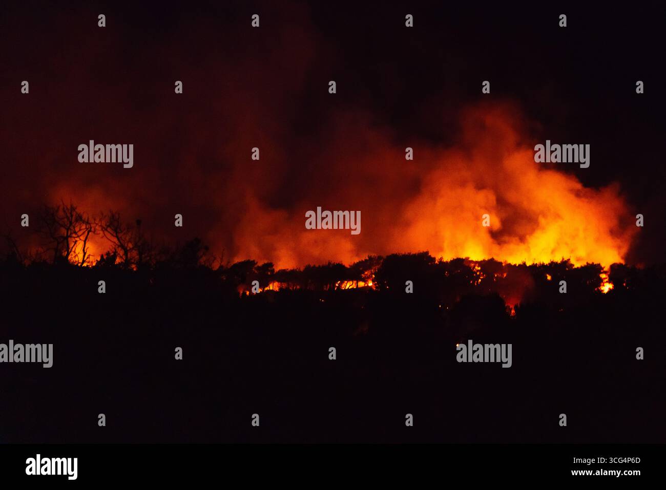 Incendi boschivi selvaggi di notte con fumo pesante e fiamme che distruggono gli alberi Foto Stock