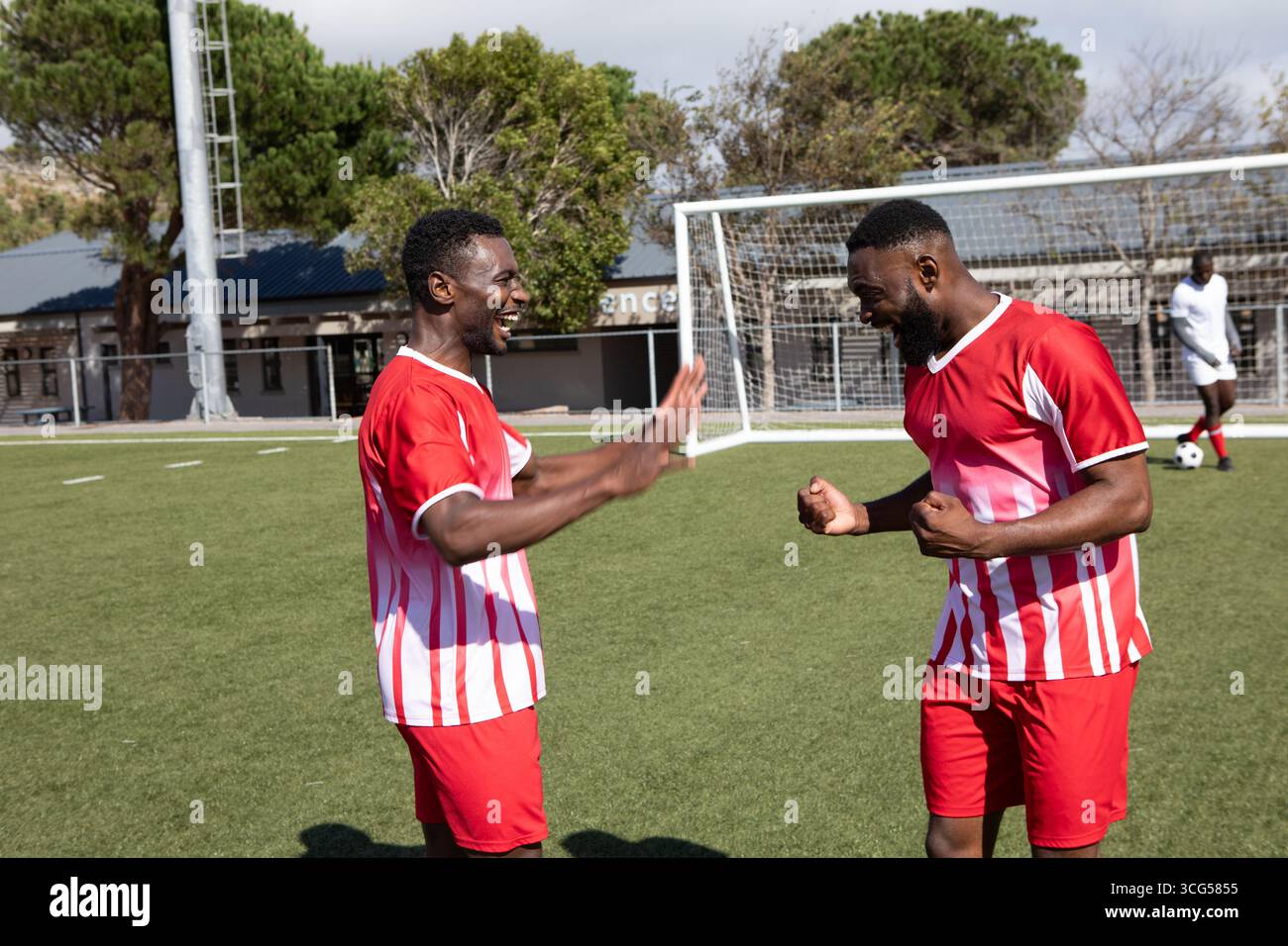 Compagni di squadra afroamericani che celebrano il sollevamento delle braccia e il pompaggio dei pugni sull'erba vicino alla rete goal Foto Stock
